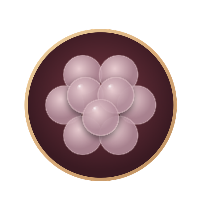 Maulbeerkeim Academy — Logo